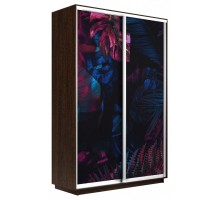 Шкаф-купе Экспресс Фото дуо 1004 1200x600x2200