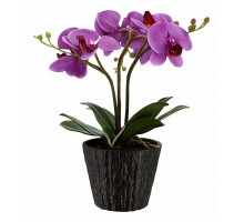 Растение в горшке Globo FlowerPower 28003