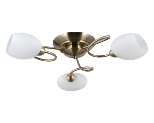 Потолочная люстра MW-Light Фиеста 9 267014403