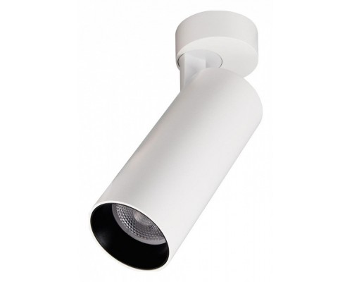 Спот Citilux Тубус