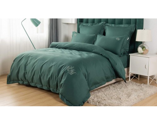 Постельное белье евростандарт Джонатан