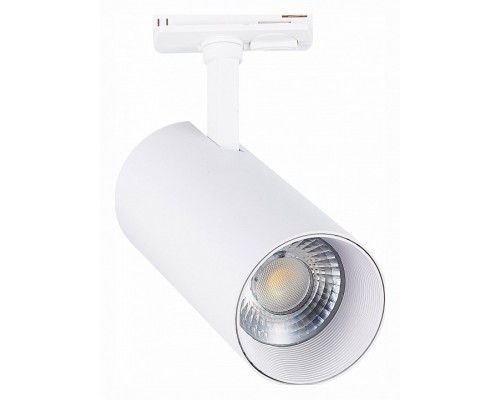 Светильник на штанге ST-Luce Mono