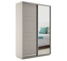 Шкаф-купе Экспресс Медиум дуо