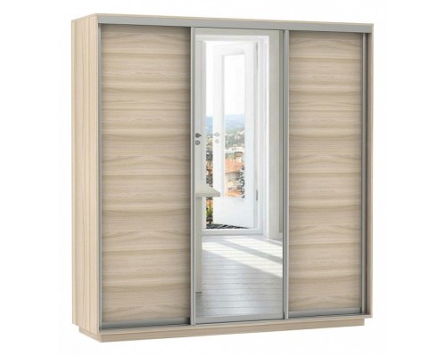 Шкаф-купе Экспресс Медиум (1 зеркало) Трио 2400x600x2200
