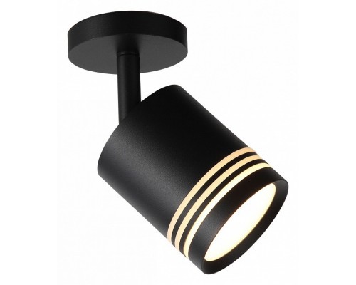 Светильник на штанге ST-Luce Cerione