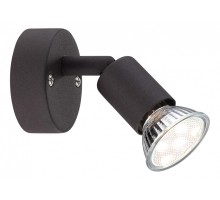 Спот Globo Olana & Oliwa 57382-1L