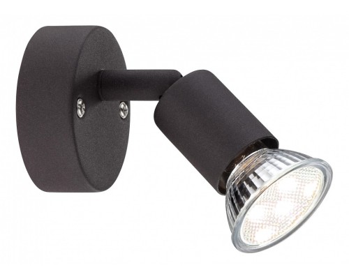 Спот Globo Olana & Oliwa 57382-1L