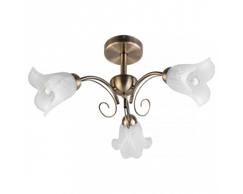 Люстра на штанге TopLight Magdalene TL3490X-03AB