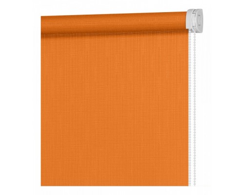 Штора рулонная (80x160 см) Апилера