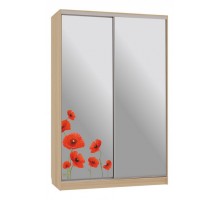 Шкаф-купе Рио 4-600 маки