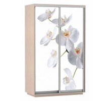Шкаф-купе Экспресс Фото Дуо Орхидея 1600x600x2200