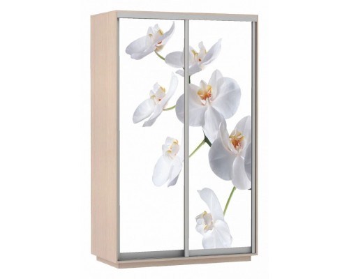 Шкаф-купе Экспресс Фото Дуо Орхидея 1600x600x2200