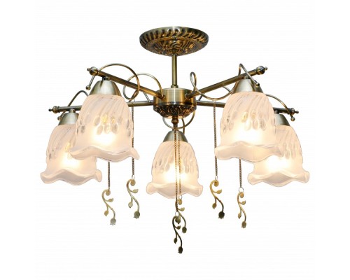 Потолочная люстра TopLight Delia TL1195X-05AB