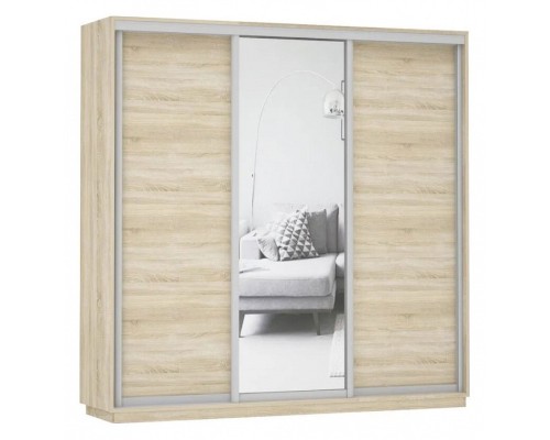 Шкаф-купе Экспресс Медиум (1 зеркало) Трио 2400x600x2200