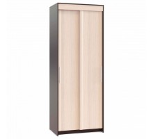 Шкаф-купе ШР-96.1