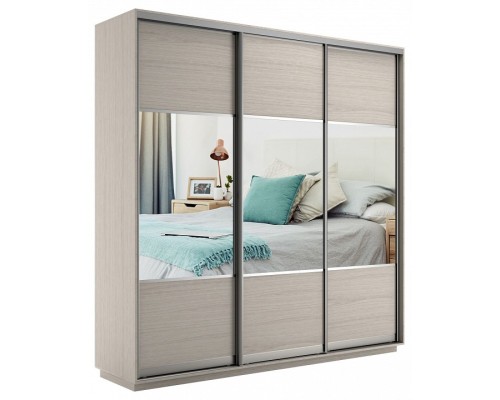 Шкаф-купе Экспресс Комби трио