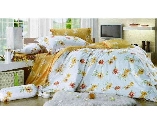 Постельное белье евростандарт C-142