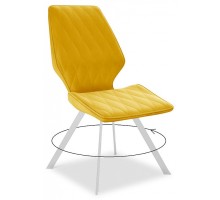 Стул DikLine 243