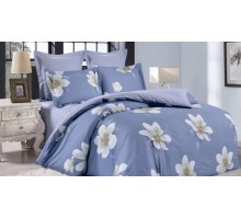 Постельное белье полутораспальное Вальтери С-350