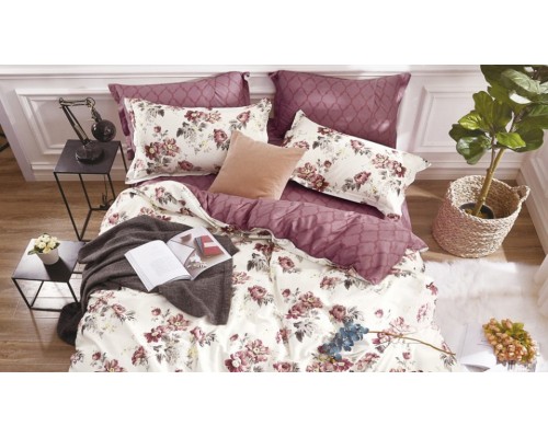 Постельное белье евростандарт CL-288