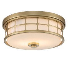 Накладной светильник Quoizel Guardian QZ-GUARDIAN-F-PNBR