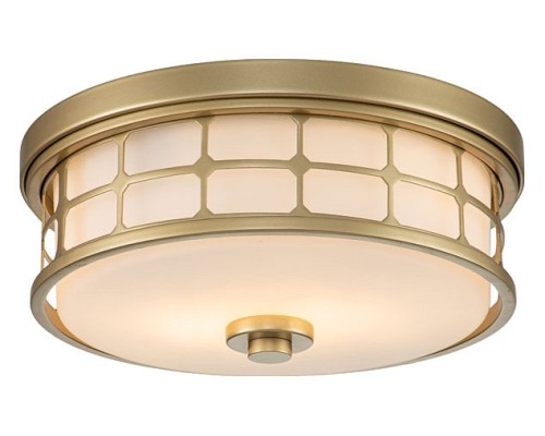 Накладной светильник Quoizel Guardian QZ-GUARDIAN-F-PNBR