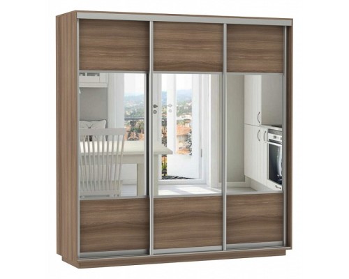 Шкаф-купе Экспресс Комби Трио 2100x600x2200