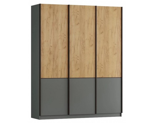 Шкаф-купе Бергамо