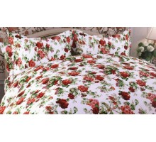 Постельное белье двуспальное Дизайн 830