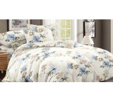 Постельное белье евростандарт Art Color 042-AC