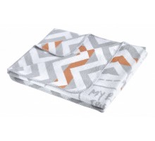 Плед детский (90x120 см) FRINENDY 3087/CHAR001