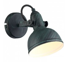 Спот Arte Lamp Martin A5213AP-1BG