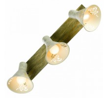 Спот LGO Mcconnico 