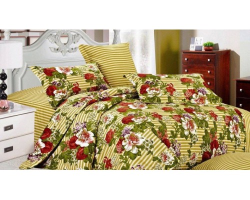 Постельное белье евростандарт C-203