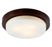 Накладной светильник Odeon Light Holger 2744/3C