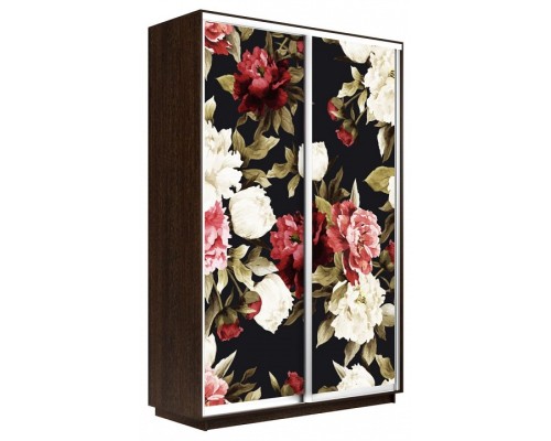 Шкаф-купе Экспресс Фото дуо 1020 1200x450x2400