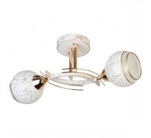 Светильник на штанге TopLight Leona TL7390X-02WG