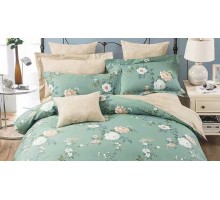 Постельное белье евростандарт RS-271