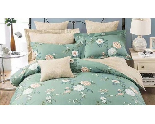 Постельное белье евростандарт RS-271