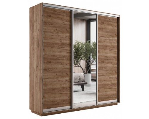 Шкаф-купе Экспресс Медиум