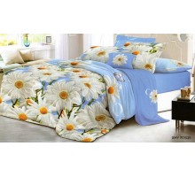 Постельное белье евростандарт Вальтери SF-70