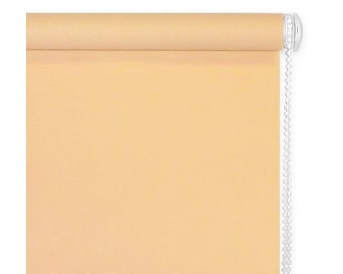 Штора рулонная (57х170 см) Эскар