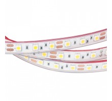 Лента светодиодная Arlight 187 018704