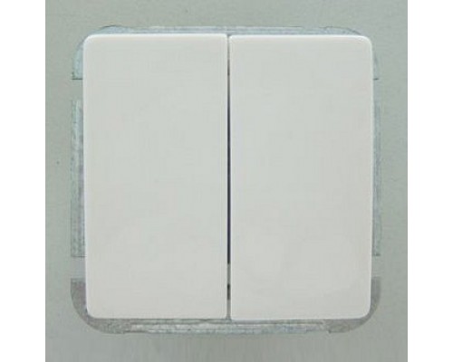 Выключатель двухклавишный без рамки Imex 1122L 1122L-S110