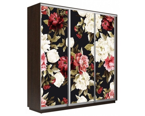 Шкаф-купе Экспресс Фото трио 1020 2100x600x2200