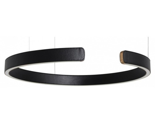 Подвесной светильник Loft it Ring 10025/600 Black