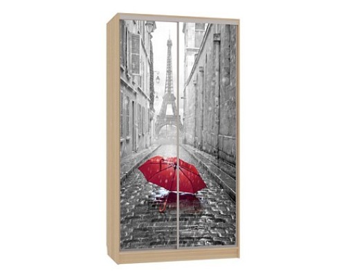 Шкаф-купе Рио 7-600 08