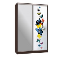 Шкаф-купе Рио 9-600 88