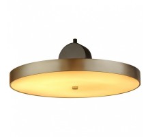 Подвесной светильник L'Arte Luce  L45904 D