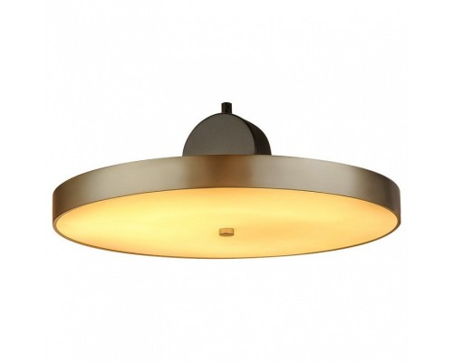 Подвесной светильник LArte Luce  L45904 D